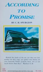According to Promise: Cover
