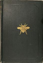 Entomology for Beginners: Cover