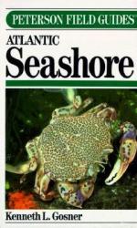 Field Guide to Atlantic Seashore: Cover