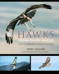 Hawks from Every Angle: Cover