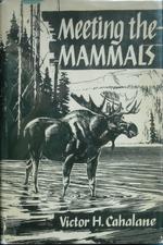 Meeting the Mammals: Cover