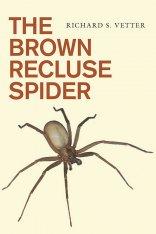 Brown Recluse Spider: Cover