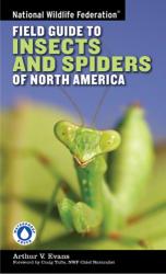 Insects and Spiders of North America: Cover