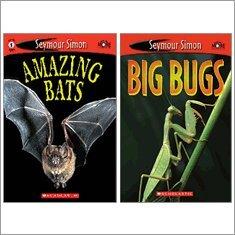 Amazing Bats & Big Bugs: Cover
