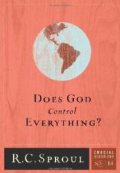 Does God Control Everything: Cover
