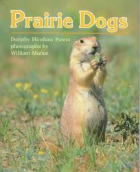 Prairie Dogs: Cover