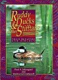 Ruddy Ducks and Other Stifftails: Cover
