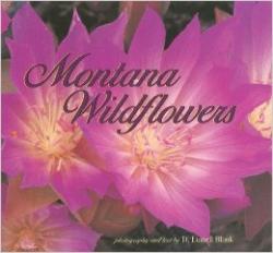 Montana Wildflowers: Cover