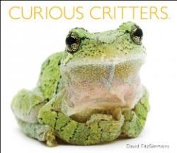 Curious Critters: Cover