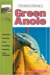 Guide to Owning a Green Anole: Cover