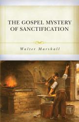 Gospel Mystery of Sanctification: Cover