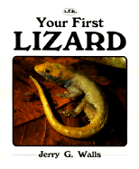 Your First Lizard: Cover