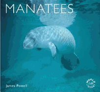 Manatees: Cover