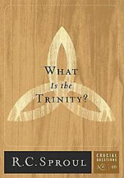 What Is the Trinity?: Cover