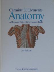 Anatomy, Clemente: Cover