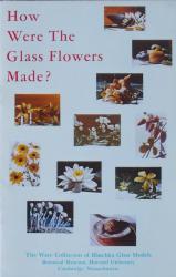 How Were the Glass Flowers Made?: Cover
