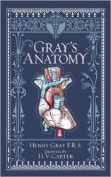 Gray's Anatomy: Cover
