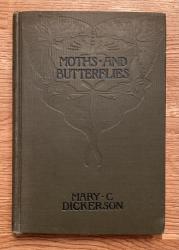 Moths and Butterflies: Cover