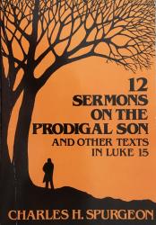 Twelve Sermons on the Prodigal Son: Cover