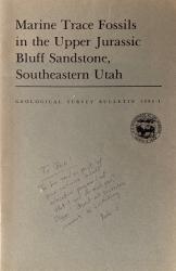 Marine Trace Fossils in the Upper Jurassic Bluff Sandstone, Southeastern Utah: C
