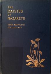 Daisies of Nazareth: Cover