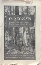 Our Forests: Cover