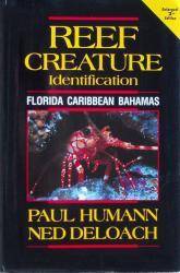 Reef Creature Identification: Cover