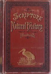 Wood's Bible Animals: Cover