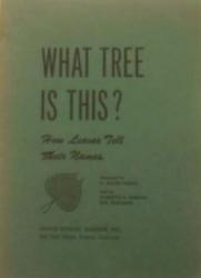 What Tree is This?: Cover