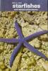 Starfishes and Related Echinoderms: Cover