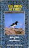 Birds of Chile: Cover