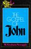Gospel of John: Cover