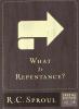 What is Repentance?: Cover
