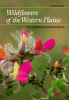 Wildflowers of the Western Plains: Cover