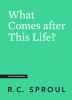 What Comes after This Life?: Cover