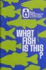 What Fish Is This: Cover