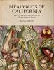 Mealybugs of California: Cover