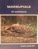 Marsupials of Australia: Cover