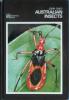 Australian Insects: Cover