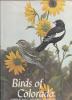 Birds of Colorado — Volume 1: Cover