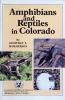Amphibians and Reptiles in Colorado: Cover