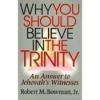 Why You Should Believe in the Trinity: Cover